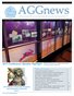 AGGnews v4.1