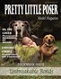 Pretty Little Poser Model Magazine - Issue 100 - Unbreakable Bonds - December 2021
