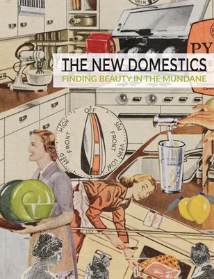 The New Domestics | Susan Abbot Martin cover