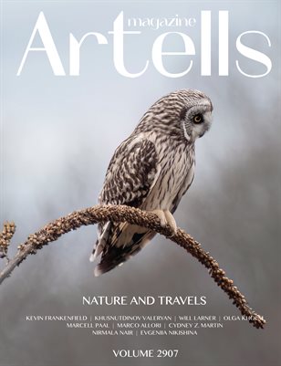 ARTELLS MAGAZINE - NATURE & TRAVELS JANUARY (Vol 2907)