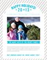 Flyer Holiday Newsletter Template - Silver