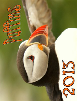 2013 PUFFIN CALENDAR