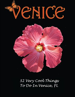 Your visit to Venice Florida