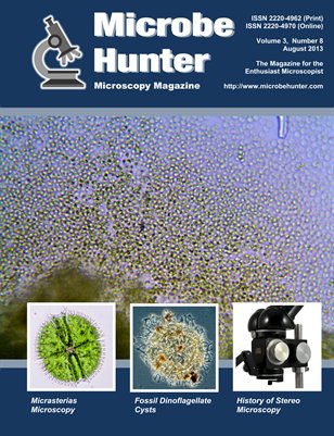 August 2013 (Vol. 3, No.8)