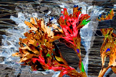 POSTER #61,4. Part 01/04  (36x24 print kit)