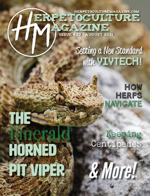 Issue #22 - August 2021