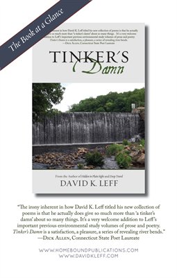 Tinker's Damn | Book at a Glance