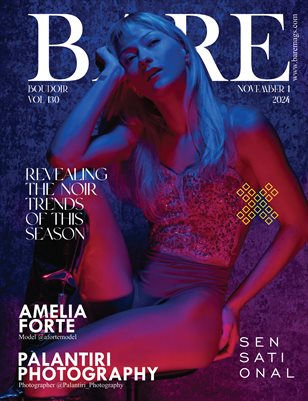 BARE Magazine Vol 130 November 1