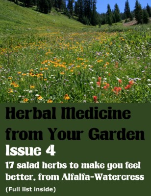 17 Salad herbs to make you feel better