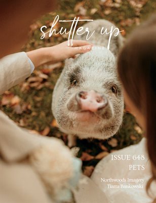 Publication preview
