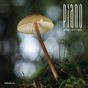Piano 18
