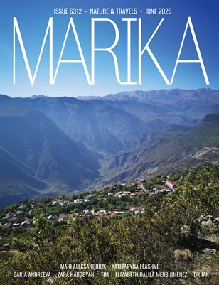 Publication preview