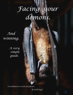 Facing your demons