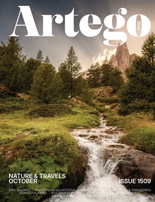 Publication preview