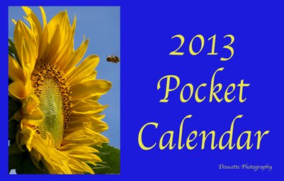 2013 Pocket Calendar