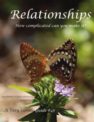 Relationships