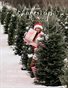 Shutter Up Magazine Issue 585 Christmas Part 1