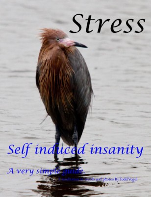 Stress