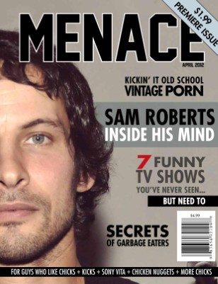Publication preview