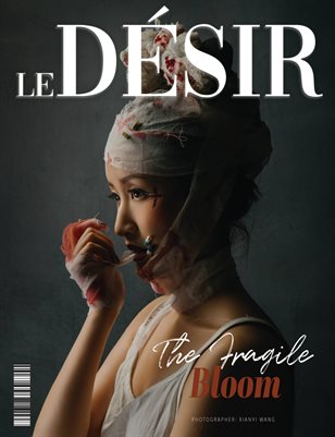 1112_MAIN_LE_DESIR___FINE_ART_ISSUE1