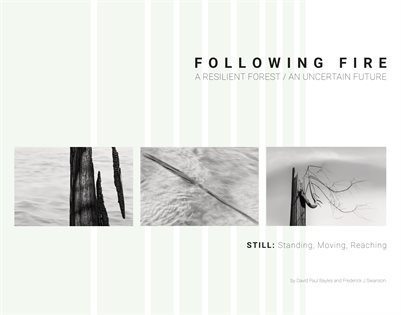 Following Fire / S T I L L 