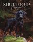 Shutter Up Magazine Issue 308