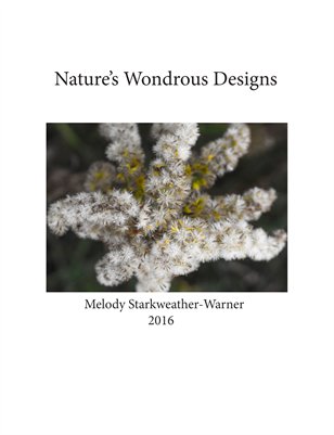 Nature's Wondrous Designs