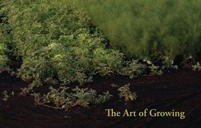 The Art of Growing