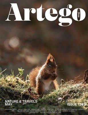 Publication preview