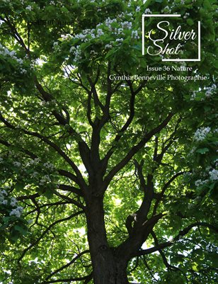 Publication preview
