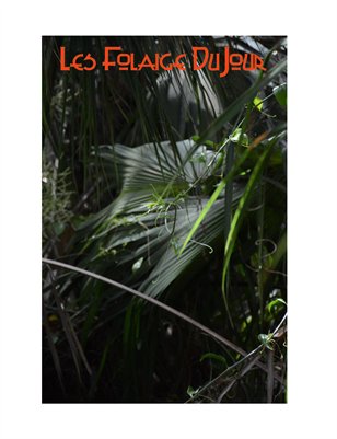 Les Foliage DuJour Cinc