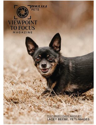 Issue 002 - PETS