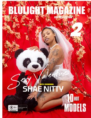 BLULIGHT MAGAZINE FEB 2024 EDITION - VOL 2