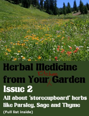 Common Kitchen Herbs