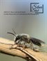 issue21 Macro and small details