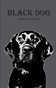 Black Dog