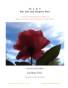 Mary's Life and Purpose Now: Her Presence and Expansion in the World