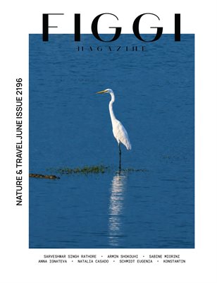 Publication preview