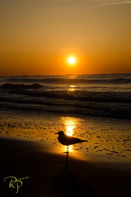 Sunrise-Myrtle Beach, South Carolina