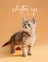 Shutter Up Magazine Issue 575 Animals