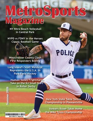 Publication preview
