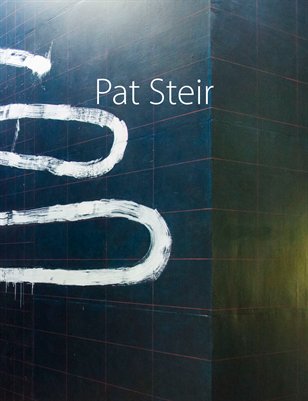 Pat Steir: The Floating Line, an installation