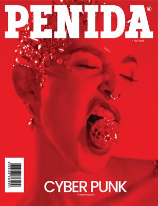 Publication preview