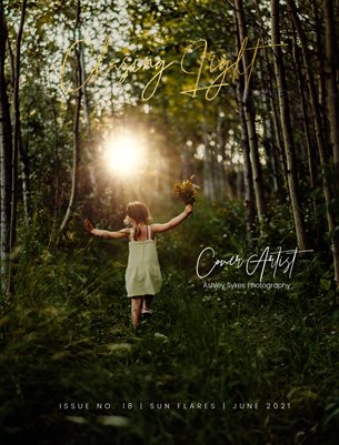 Chasing Light | Issue 18 | Sun Flares