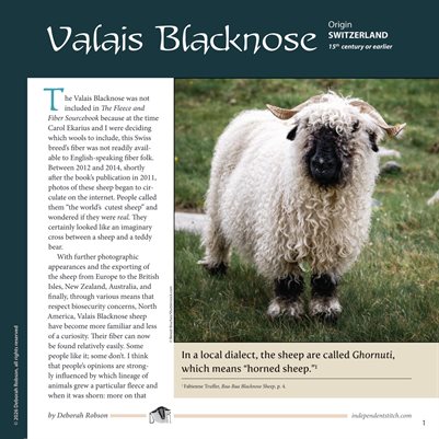 Guide to Fiber Intensive: Valais Blacknose