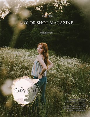 Publication preview