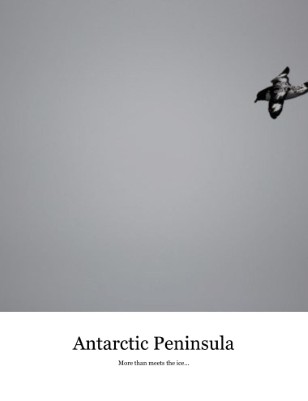 The Antarctic Peninsula