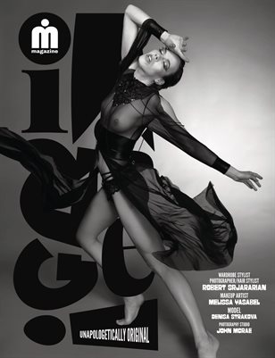 Publication preview