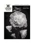 Viewpoint to Focus Mag -ISSUE 25- B&W