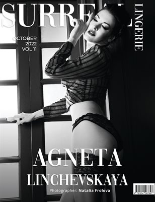 Lingerie VOL 11